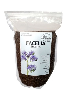 FACELIA BLEKITNA POPLON NASIONA 1 KG MIODODAJNA DO GLEBY STALA DLA PSZCZÓŁ