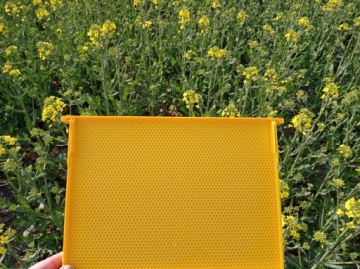 РАМКА пластиковая WIELKOPOLSKA стиль Хоффман 20 шт.