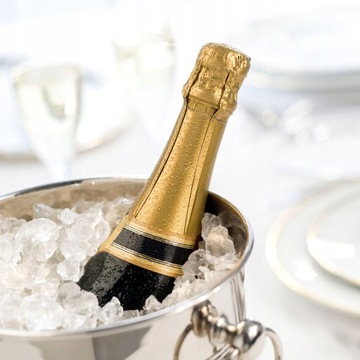 ВЕДРО ДЛЯ ЛЕДА - стальной контейнер для бутылки шампанского для охлаждения вина.