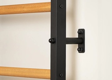 ЛЕСТНИЦА ГИМНАСТИЧЕСКАЯ + БРУСЬ + ПЕРИЛА ЧЕРНАЯ СКАМЬЯ