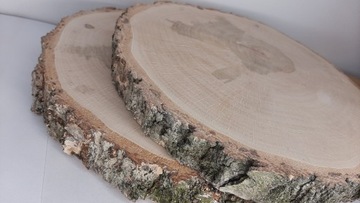 Срез березового диска, 20-23 см, мега полировка