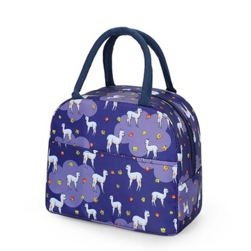 Portable Lunch Bag 2023 New Thermal Insulated Lunch Box Tote Cooler Bag