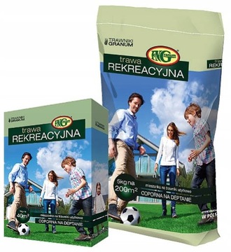 Trawa mieszanka REKREACYJNA 0,25 kg/10 m2 Odporna