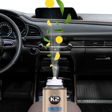 K2 KLIMA FRESH ODGRZYBIACZ DO KLIMATYZACJI KLIMY