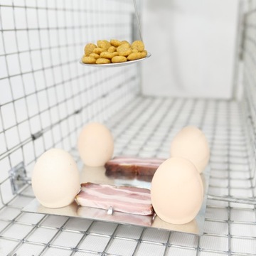 ЖИВОЛОВКА МУЖЧИНЫ ЛОВУШКА КРЫСЫ ЛОСКИ НОРКИ ТРУСЫ ЛОВУШКИ VIANO P2