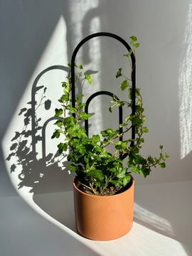 Опора для вьющихся растений Опора для вьющихся цветов Лестница для перголы 38 см