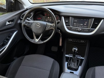 Opel 2019 Opel Grandland X 1.2 T GPF DesignLine S&amp;S Krajowy Bezwypadkowy I Właściciel, zdjęcie 10