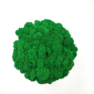 Вазон с мхом хроботек, 23 см, мох хроботек в золотом горшке, 3D печать