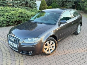 Audi A3 8P Hatchback 3d 1.6 102KM 2004 Audi A3 3-drzwiowe 1.6mpi 102KM Klima Alusy Grzane fotele Sprawdz 1.6, zdjęcie 24