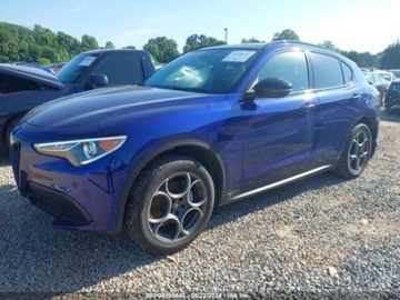 Alfa Romeo Stelvio SUV Facelifting 2.0 Turbo 280KM 2021 Alfa Romeo Stelvio 2021 Alfa Romeo Stelvio AWD 2.0 Benzyna 280KM, zdjęcie 2
