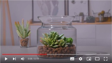 Декоративная стеклянная банка для леса в банке Композиции ВАЗА Тренд для дома