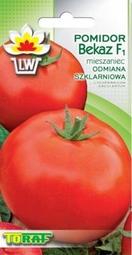 Pomidor Bekas szklarniowy wczesny pod osłony 0,2g