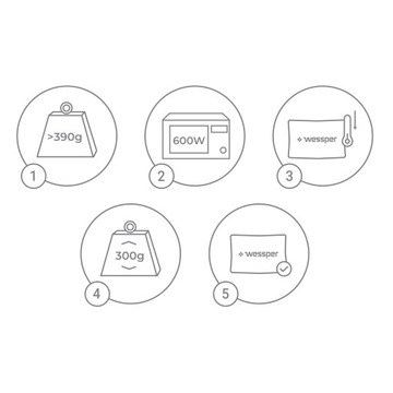 Автомобильный влагопоглотитель Wessper - многоразовый черный 300г