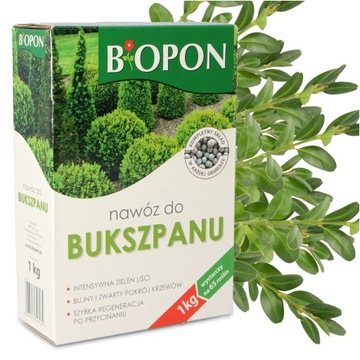 NAWÓZ WIELOSKŁADNIKOWY BUKSZPANÓW ŻYWOPŁOTÓW 1kg Odżywka Bukszpanu GRANULAT