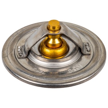 Термостат Bizon SW400 Polmo 323378 PL323378