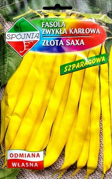 Fasola szparagowa karłowa ZŁOTA SAXA 50g spójnia