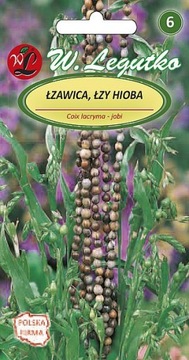 ŁZAWICA , ŁZY HIOBA CUDNA TRAWA