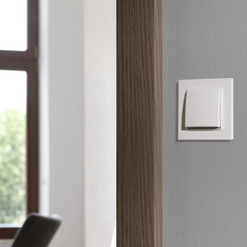 SIMON 10 ДВОЙНАЯ КНОПКА (МОДУЛЬ) 10AX, ВИНТ Z., CP2.01/11 БЕЛЫЙ