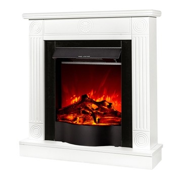 Электрокамин Дональд и Плутон