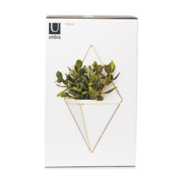 Настенный горшок для растений Trigg из латуни