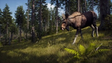 Путь охотника PS5