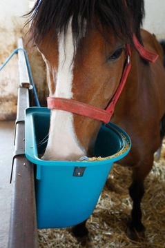 Кормушка с ручкой и стропой, 12 л, бирюзовый
