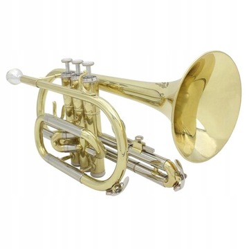 Духовой инструмент Bb Flat Cornet с перчатками в футляре