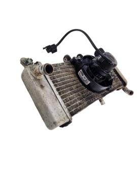 Aprilia RS4 125 COOLER