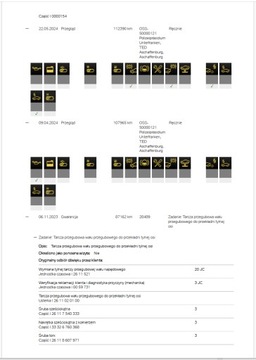 BMW Mini - VIN - Реконструкция по ремонту истории обслуживания ASO PDF 7/7