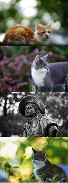 vivitar series 1, 85 мм 1:1,4 асферический, резкое боке лучше, чем у Samyang