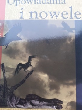 Opowiadania i nowele Żeromski, Orzeszkowa