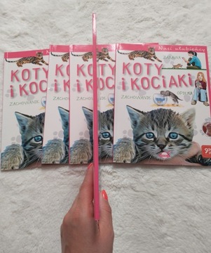 Наши фавориты Кошки и котята