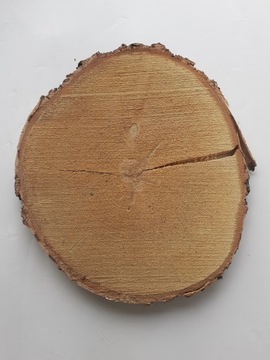 Самые дешевые сухие ломтики, диски из березы 33-36