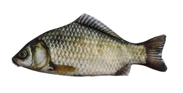 PIÓRNIK SZKOLNY RYBA FISH KOSMETYCZKA SASZETKA KARP NA PREZENT