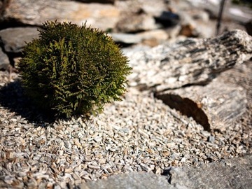 Камень садовый КАМЕННАЯ КОРА Гнейс большой 10 кг