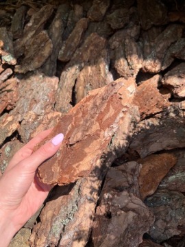 Садовая сосновая кора EXTRA THICK 80-250мм PREMIUM 40шт HAND SORTED