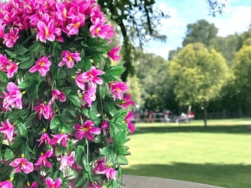 Pelargonie Liljowiec Pelargonia Surfinie Sztuczne Kwiaty na Balkon 4 szt
