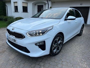 Kia Ceed III Hatchback 1.0 T-GDi 120KM 2019 Kia Ceed 88 Tyś km Radar Klimatronic Tempomat Navi Asystent Bezwypadek, zdjęcie 11