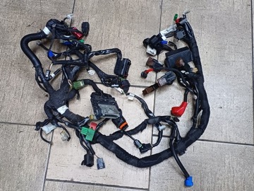 Wiązka instalacja elektryczna KTM Duke 125 2017-2021