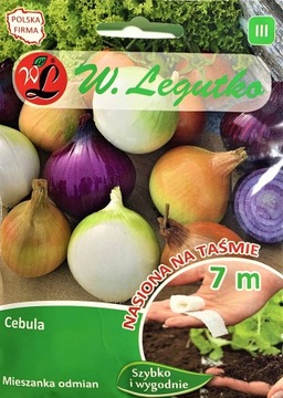CEBULA NASIONA warzyw NA TAŚMIE 7M MIX ODMIAN łatwe w uprawie
