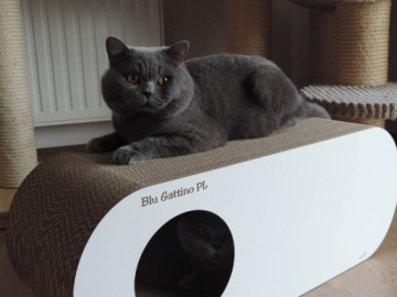 Drapak for Cat от Gattino Coco Black