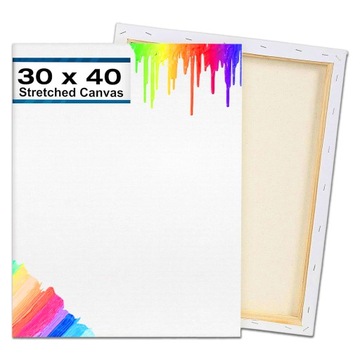 БЕЛАЯ ХОЛСТ 290г/м2 ЖИВОПИСЬ ЖИВОПИСЬ 3х ГРУНТОВАННАЯ 30х40