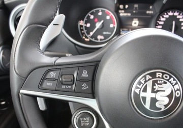 Alfa Romeo Stelvio SUV 2.2 JtdM-2 210KM 2019 Alfa Romeo Stelvio 2.2 JTDM Fv23 Od RiA SalonPL FVat Bogata Wersja 4x4 2.1, zdjęcie 13