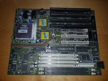 Octek RHINO 10 EP40195R103 + ммх 166