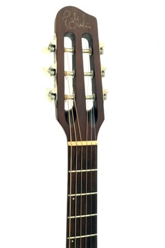 Godin Acoustic Stell Duet топовая электроакустика