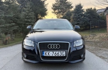 Audi A3 8P Hatchback 3d 1.6 TDI 105KM 2010 Audi A3 3-drzwiowe Audi A3 3-drzwiowe 1.6 TDI DPF Ambition 1.6 Diesel 105KM, zdjęcie 2