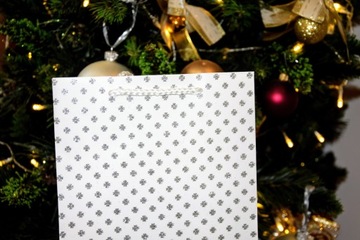 Подарочный пакет с белой сребрна-бракадой 18x23x10 см 3 дизайн