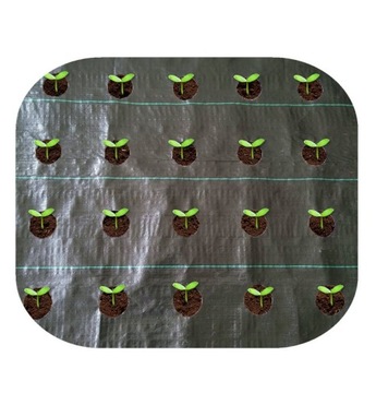 Agrotkanina z OTWORAMI pod CZOSNEK 1,10x10 Warzywa