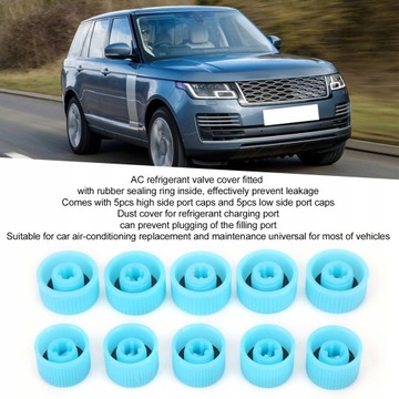 10 SZTUK A/C ZAŚLEPKA PORTU CZYNNIKA CHŁODNICZEGO