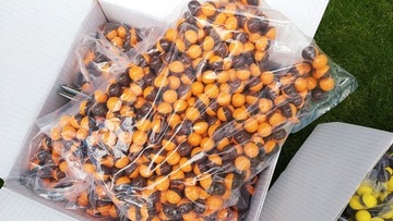 Kulki Paintball NOP 500szt EXTRA Świeże Jakość !!